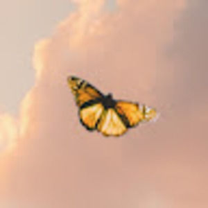 Meet your Posher, Bentley